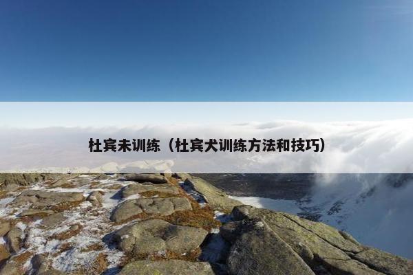 杜宾未训练（杜宾犬训练方法和技巧）
