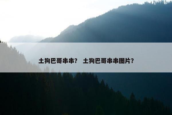 土狗巴哥串串？ 土狗巴哥串串图片？