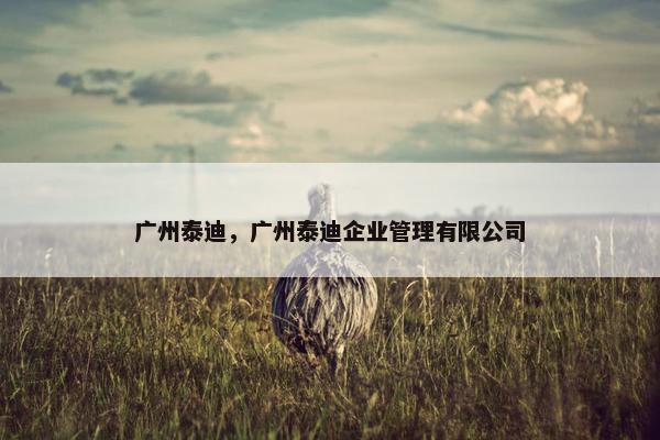 广州泰迪，广州泰迪企业管理有限公司