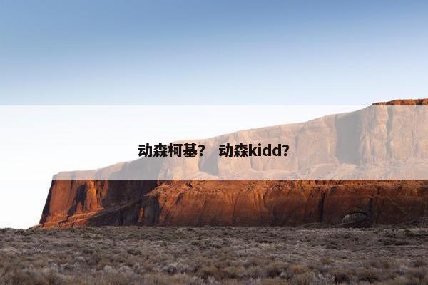 动森柯基？ 动森kidd？