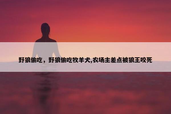 野狼偷吃，野狼偷吃牧羊犬,农场主差点被狼王咬死