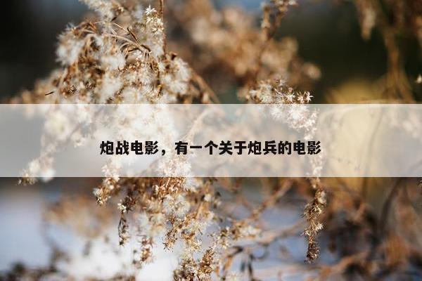 炮战电影，有一个关于炮兵的电影