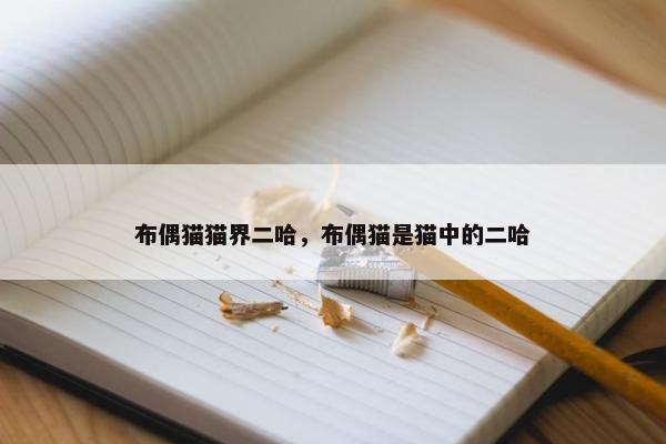 布偶猫猫界二哈，布偶猫是猫中的二哈
