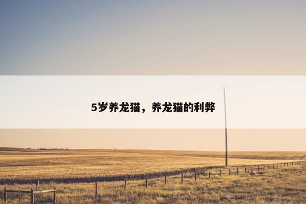 5岁养龙猫，养龙猫的利弊