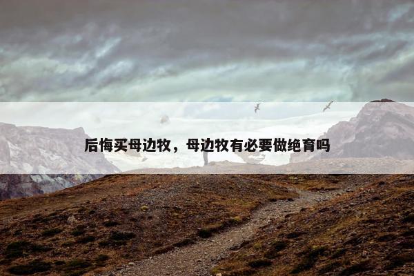 后悔买母边牧，母边牧有必要做绝育吗