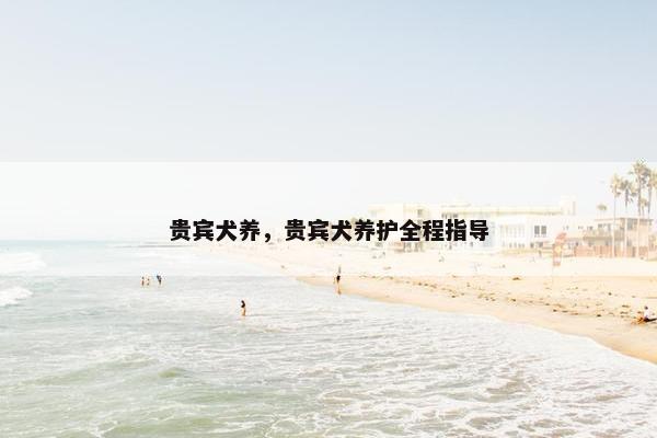 贵宾犬养，贵宾犬养护全程指导