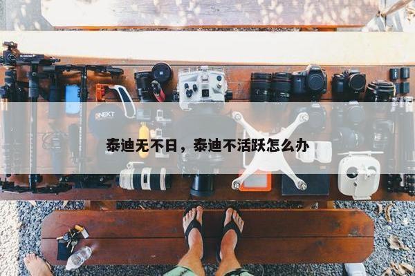 泰迪无不日，泰迪不活跃怎么办