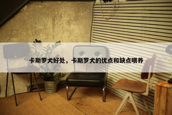 卡斯罗犬好处，卡斯罗犬的优点和缺点喂养