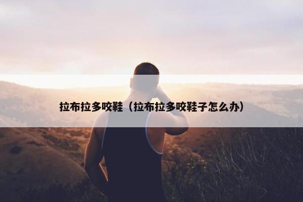 拉布拉多咬鞋（拉布拉多咬鞋子怎么办）