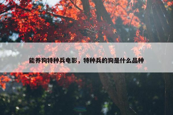 能养狗特种兵电影，特种兵的狗是什么品种