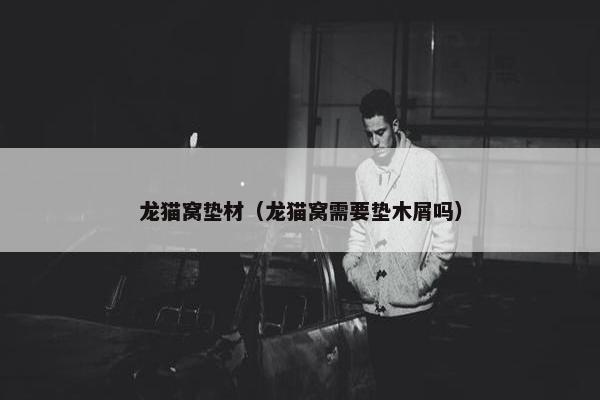 龙猫窝垫材（龙猫窝需要垫木屑吗）