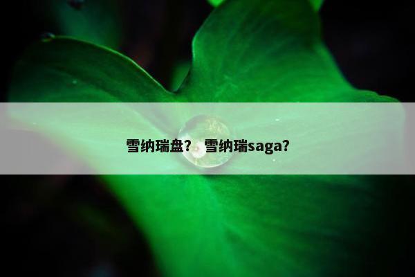 雪纳瑞盘？ 雪纳瑞saga？