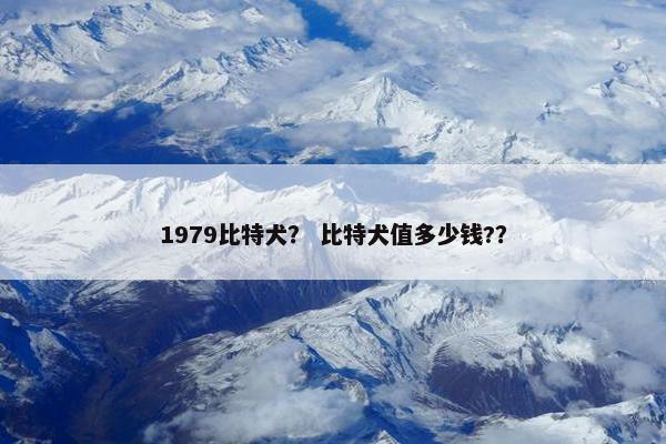 1979比特犬？ 比特犬值多少钱?？