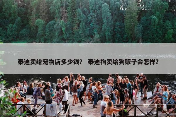 泰迪卖给宠物店多少钱？ 泰迪狗卖给狗贩子会怎样？