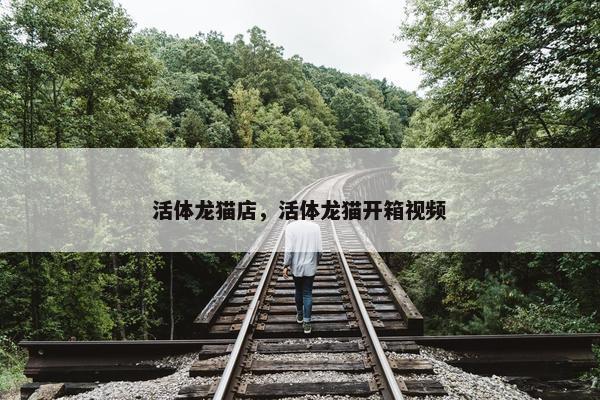 活体龙猫店，活体龙猫开箱视频