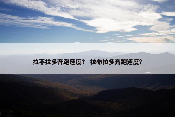 拉不拉多奔跑速度？ 拉布拉多奔跑速度？