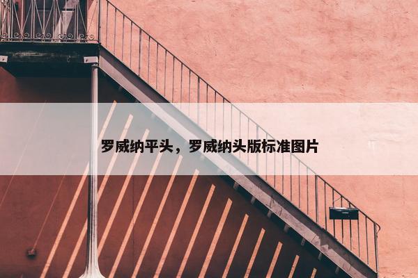 罗威纳平头，罗威纳头版标准图片
