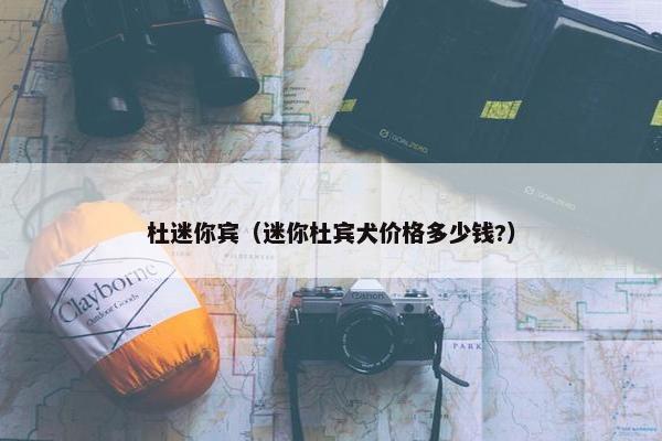 杜迷你宾（迷你杜宾犬价格多少钱?）
