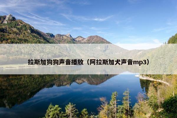 拉斯加狗狗声音播放（阿拉斯加犬声音mp3）