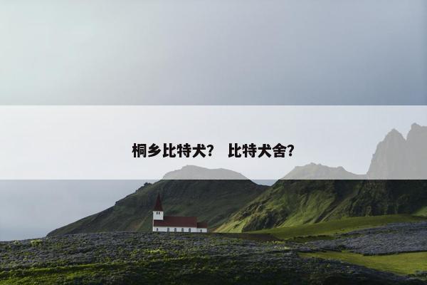 桐乡比特犬？ 比特犬舍？