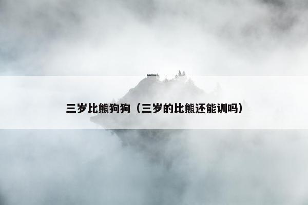三岁比熊狗狗（三岁的比熊还能训吗）