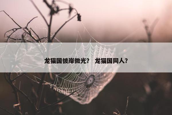龙猫国彼岸微光？ 龙猫国同人？