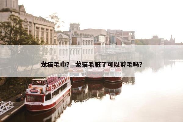 龙猫毛巾？ 龙猫毛脏了可以剪毛吗？