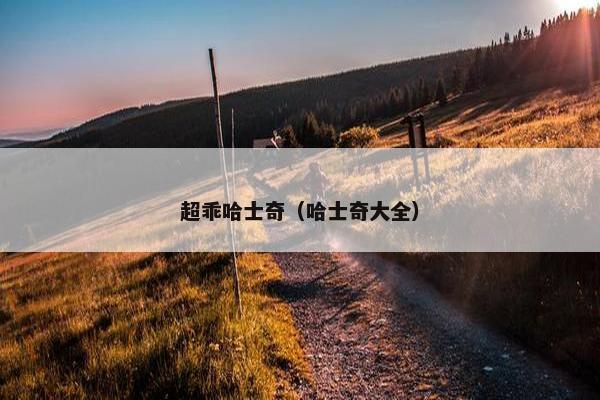 超乖哈士奇（哈士奇大全）