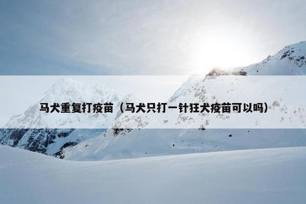 马犬重复打疫苗（马犬只打一针狂犬疫苗可以吗）
