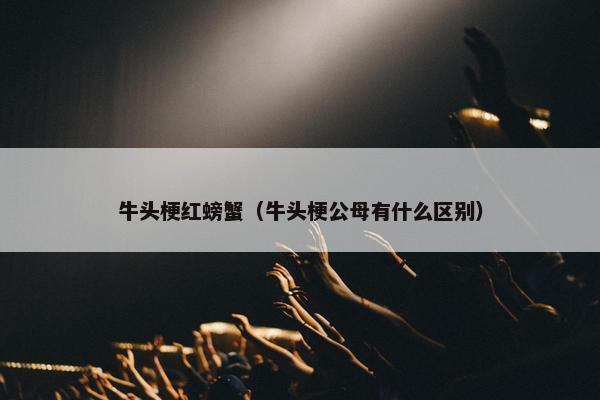 牛头梗红螃蟹（牛头梗公母有什么区别）