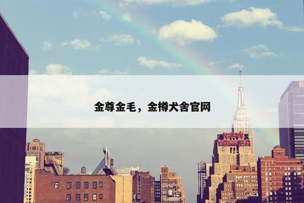 金尊金毛，金樽犬舍官网
