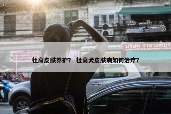 杜高皮肤养护？ 杜高犬皮肤病如何治疗？