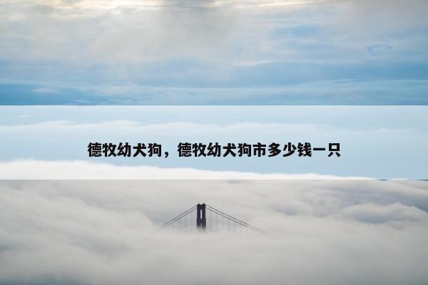 德牧幼犬狗，德牧幼犬狗市多少钱一只