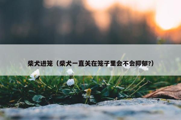 柴犬进笼（柴犬一直关在笼子里会不会抑郁?）