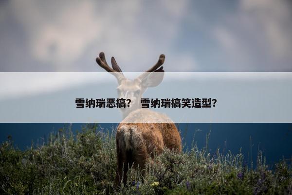 雪纳瑞恶搞？ 雪纳瑞搞笑造型？