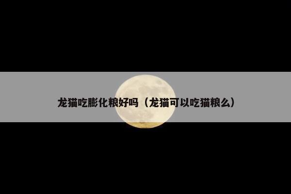 龙猫吃膨化粮好吗（龙猫可以吃猫粮么）