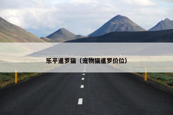 乐平暹罗猫（宠物猫暹罗价位）