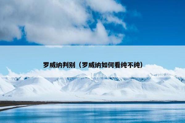 罗威纳判别（罗威纳如何看纯不纯）