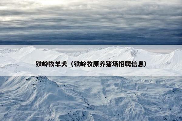 铁岭牧羊犬（铁岭牧原养猪场招聘信息）