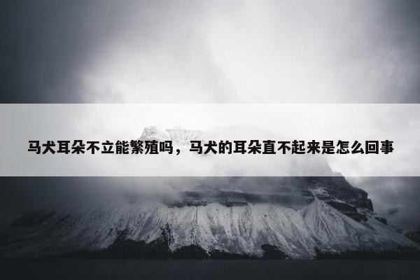 马犬耳朵不立能繁殖吗，马犬的耳朵直不起来是怎么回事