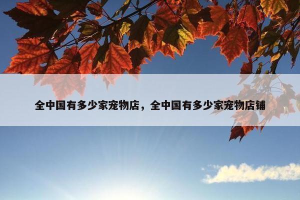 全中国有多少家宠物店，全中国有多少家宠物店铺