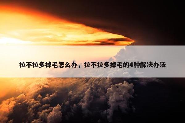 拉不拉多掉毛怎么办，拉不拉多掉毛的4种解决办法
