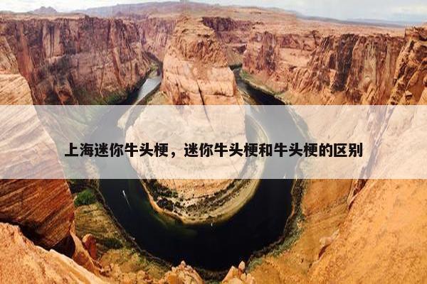 上海迷你牛头梗，迷你牛头梗和牛头梗的区别