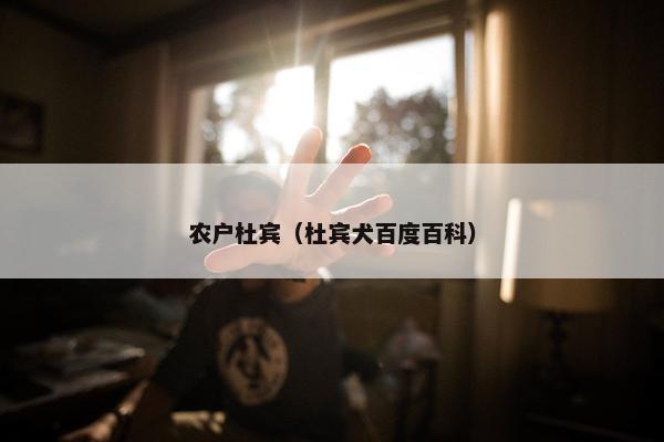 农户杜宾（杜宾犬百度百科）