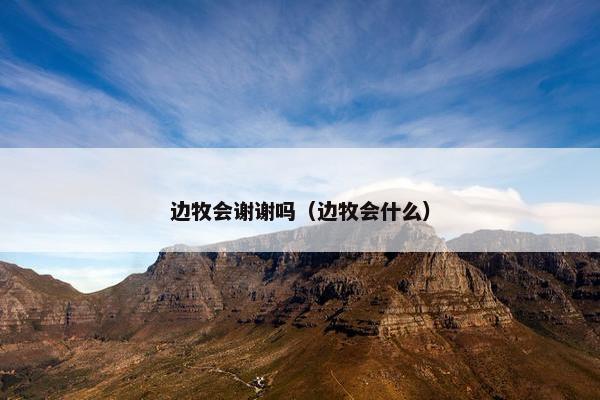 边牧会谢谢吗（边牧会什么）
