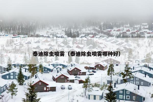 泰迪除虫喷雾（泰迪除虫喷雾哪种好）