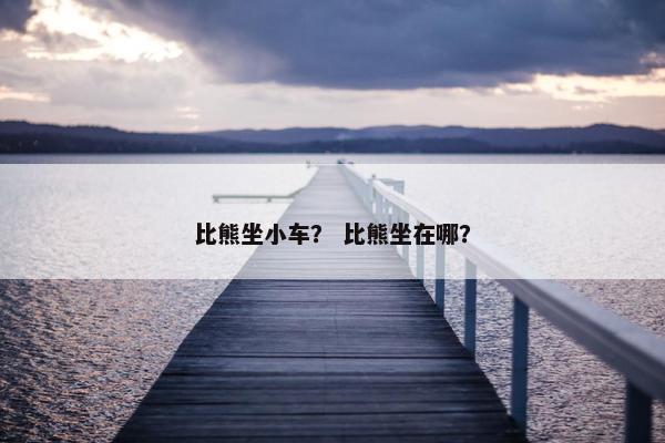 比熊坐小车？ 比熊坐在哪？