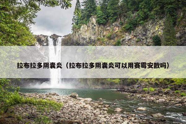 拉布拉多阴囊炎（拉布拉多阴囊炎可以用赛霉安散吗）