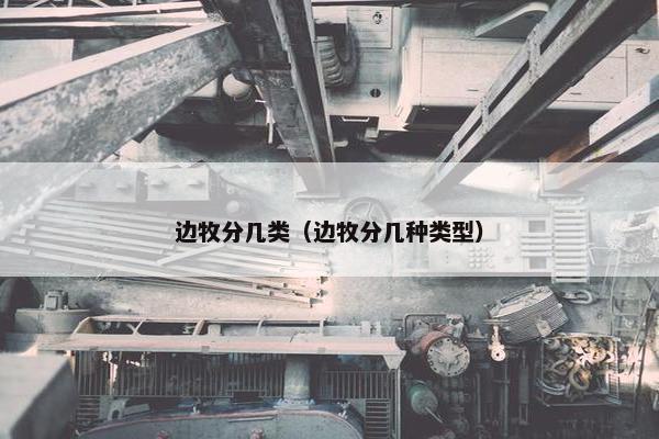 边牧分几类（边牧分几种类型）