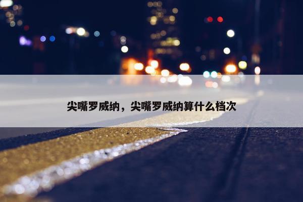 尖嘴罗威纳，尖嘴罗威纳算什么档次